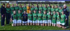 St. Louis Ladies Bow Out in All-Ireland Semi-Final