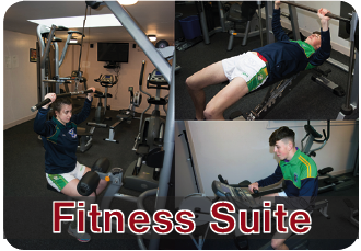 Fitness Suite